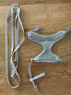 Laisse avec harnais pour chiot, Enlèvement, Comme neuf