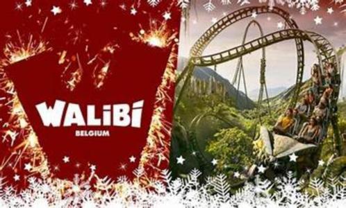 Walibiticket (s) ----> 28/09/2025, Tickets en Kaartjes, Recreatie | Pretparken en Attractieparken, Drie personen of meer
