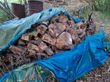 1 kuub halfgedroogd brandhout, Tuin en Terras, Brandhout, Minder dan 3 m³, Ophalen, Stammen