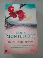 Onder de ombu-boom van Santa Montefiore, Ophalen