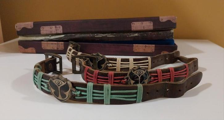 Tomorrowland treasure case te ruilen voor tickets, Tickets en Kaartjes, Evenementen en Festivals