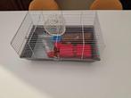 Hamsterkooi, Minder dan 60 cm, Kooi, Gebruikt, Minder dan 75 cm