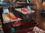Hamster kooi, Dieren en Toebehoren, Kooi, Gebruikt, Minder dan 75 cm, Hamster