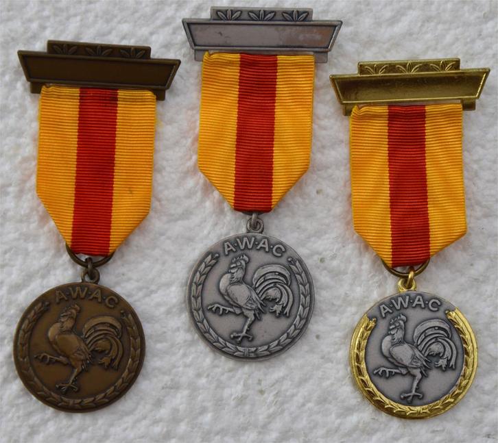 Medailles, 3x LOT AWAC, Ass. Wallone Ancien Combattants, Zg, Verzamelen, Militaria | Algemeen, Landmacht, Lintje, Medaille of Wings