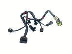 KABELBOOM MOTOR Aprilia Dorsoduro 750 2008-2010 (SMV750), Motoren, Gebruikt