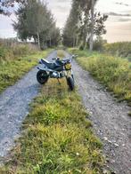 Skyteam pbr 50cc met papieren, Ophalen, Gebruikt, Skyteam/zenhua, Overige typen