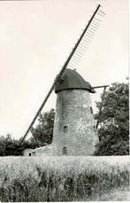 Sint-Kornelis-Horebeke - Hoogkoutermolen, Verzamelen, Postkaarten | België, Verzenden, 1980 tot heden, Ongelopen, Oost-Vlaanderen