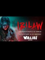 1 walibi ticket ibilaw, Tickets en Kaartjes, Evenementen en Festivals, Eén persoon