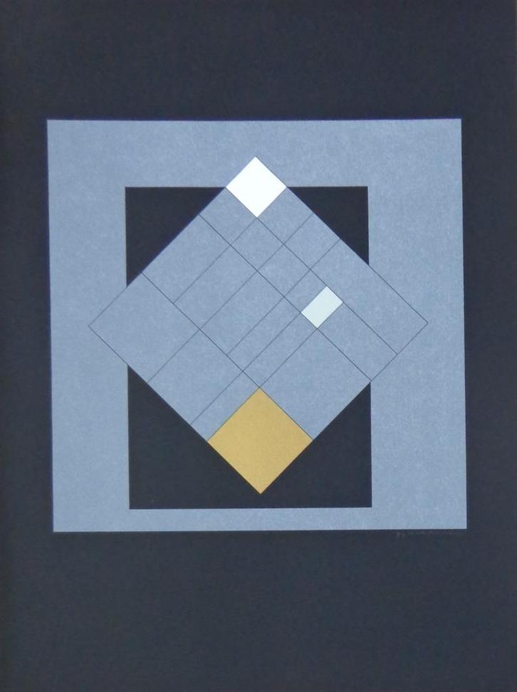 GUY VANDENBRANDEN / KUNST CAMPUS / KLEURZEEFDRUK / 72x55cm, Antiek en Kunst, Kunst | Litho's en Zeefdrukken, Ophalen of Verzenden