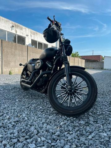 Hatrley davidson iron 883 beschikbaar voor biedingen