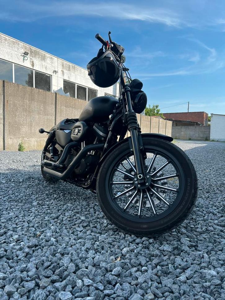 Hatrley davidson iron 883, Motoren, Motoren | Harley-Davidson, Particulier, Chopper, meer dan 35 kW, Minimaal motorrijbewijs A2