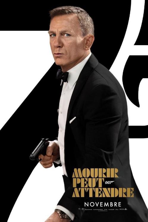 JAMES BOND 007 NTTD Module Banner Affiche POSTER DVD Blu-Ray, Collections, Posters & Affiches, Comme neuf, Cinéma et TV, Enlèvement ou Envoi