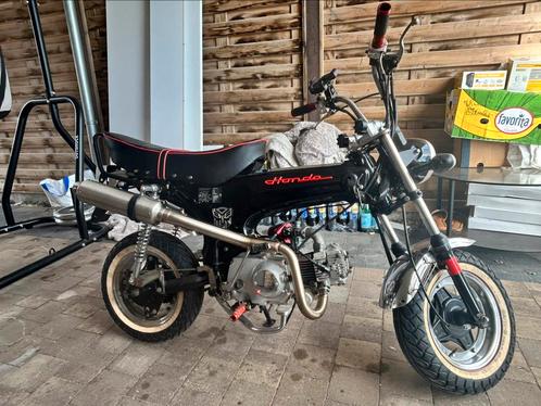 Honda dax 50cc perfecte staat, Vélos & Vélomoteurs, Cyclomoteurs | Honda, Comme neuf, Classe B (45 km/h), Enlèvement