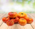 Bio tomatenplanten, er zijn veel verschillende soorten., Ophalen