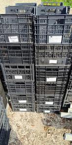 AV. CAJEOTS TRES SOLIDE, Enlèvement, Utilisé