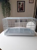 Cage oiseau neuf, Animaux & Accessoires, Oiseaux | Cages & Volières