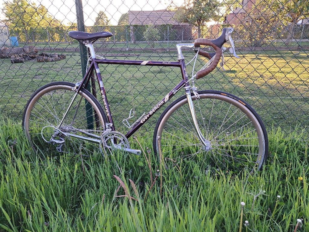 Eddy Merckx Course 01, Frein sur jante, 57 à 61 cm, Acier, Enlèvement