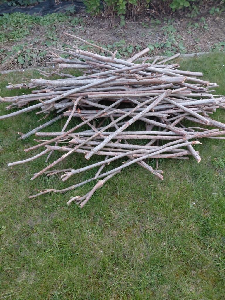 Gratis op te halen als brandhout, Ophalen