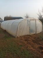 Serre tunnel, Film, Acier, Serre, Comme neuf