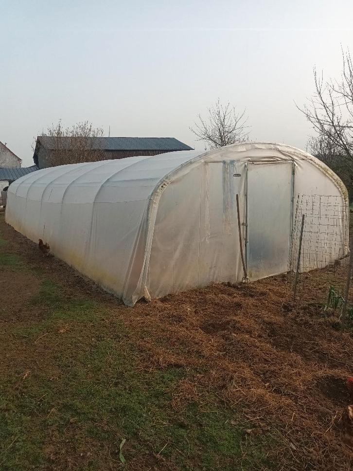 Serre tunnel, Tuin en Terras, Kassen, Zo goed als nieuw, Kweekkas, Staal, Folie, Ophalen