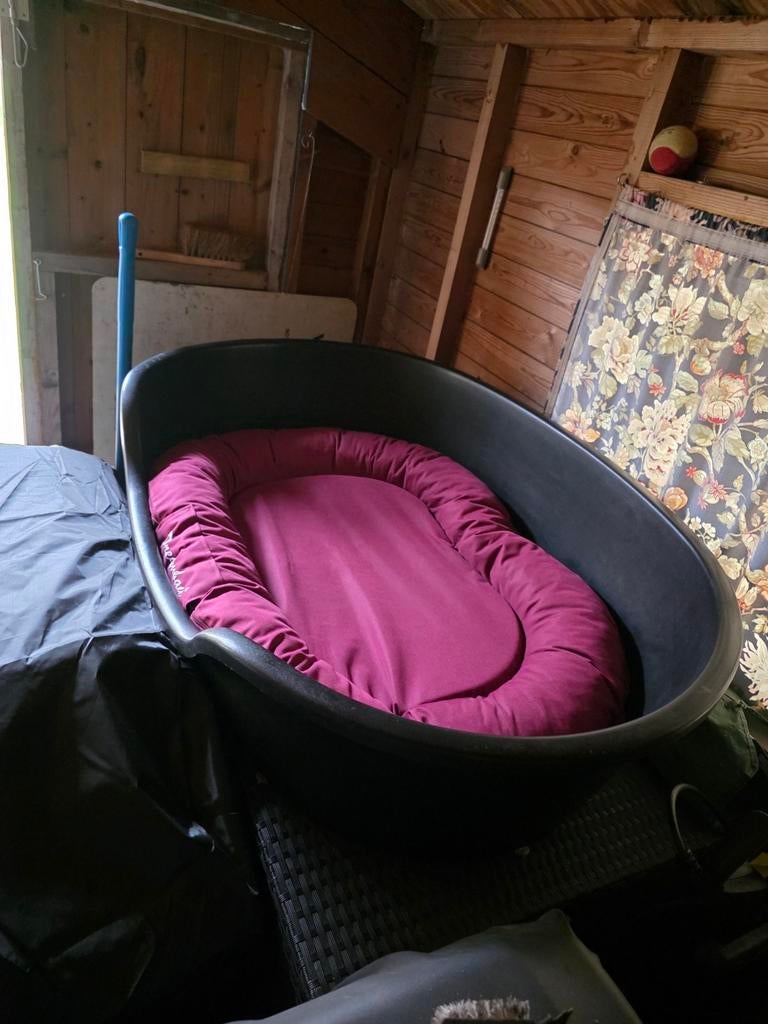 Hele grote hondenmand met nieuw kussen !, Dieren en Toebehoren, Ophalen