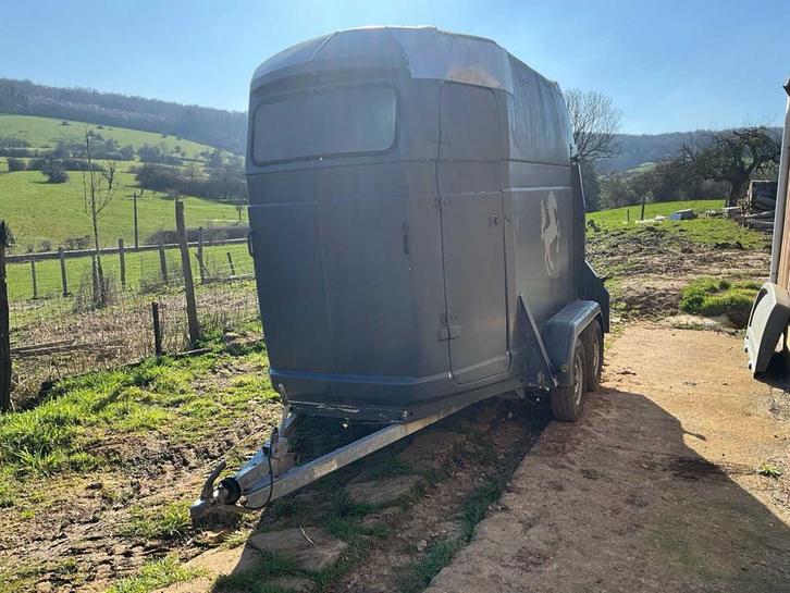 BCW V4-8-17-E Chevaux transport, Animaux & Accessoires, Chevaux & Poneys | Semi-remorques & Remorques, Utilisé, Autres types