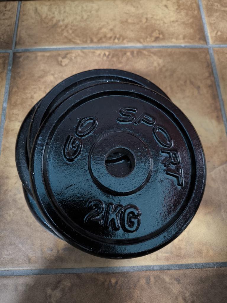 4 gewichtsschijven Go Sport (2 kg per stuk), Sports & Fitness, Équipement de fitness, Enlèvement, Comme neuf, Plaques d'haltères