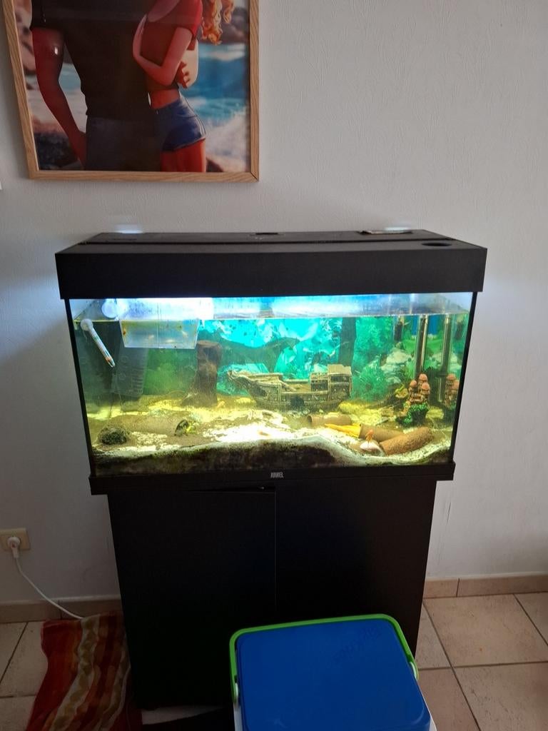 Aquarium+meubel te koop., Ophalen