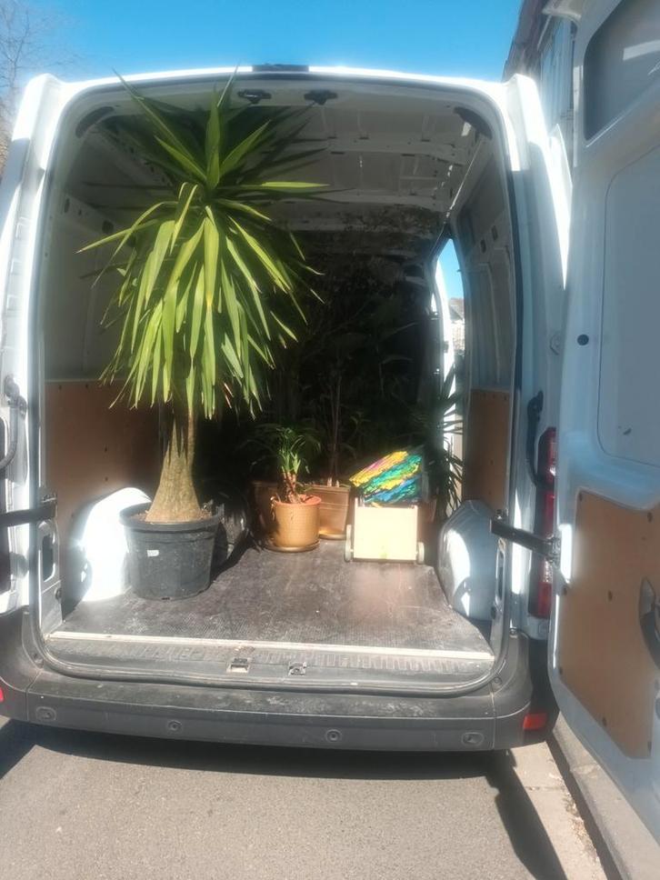 Location Camionnette avec chauffeur, Auto-onderdelen, Uitlaatsystemen, Nissan, Ophalen