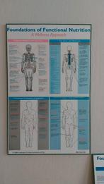 3 kaders van het menselijk lichaam, Boeken, Ophalen