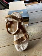 Teva sandalen, Neuf, Enlèvement ou Envoi, Autres couleurs, Teva