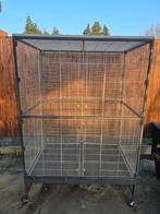 Volière Cage Perruches Oiseaux, Animaux & Accessoires, Enlèvement, Volière