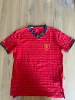 T-shirt kipsta, Sport en Fitness, Voetbal, Ophalen of Verzenden, Zo goed als nieuw, Shirt