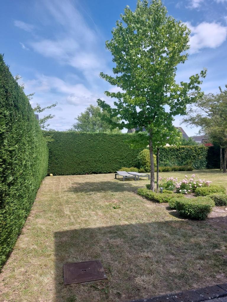 Service de jardinage, Jardin & Terrasse, Enlèvement ou Envoi