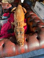 Opgezette krokodil te koop 160cm, Enlèvement, Utilisé