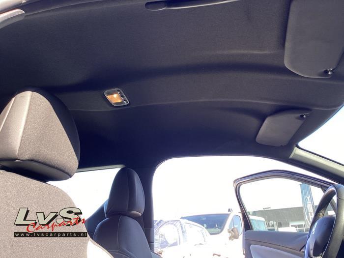 Revêtement plafond d'un Citroen DS3, -, 3 mois de garantie, Utilisé, -