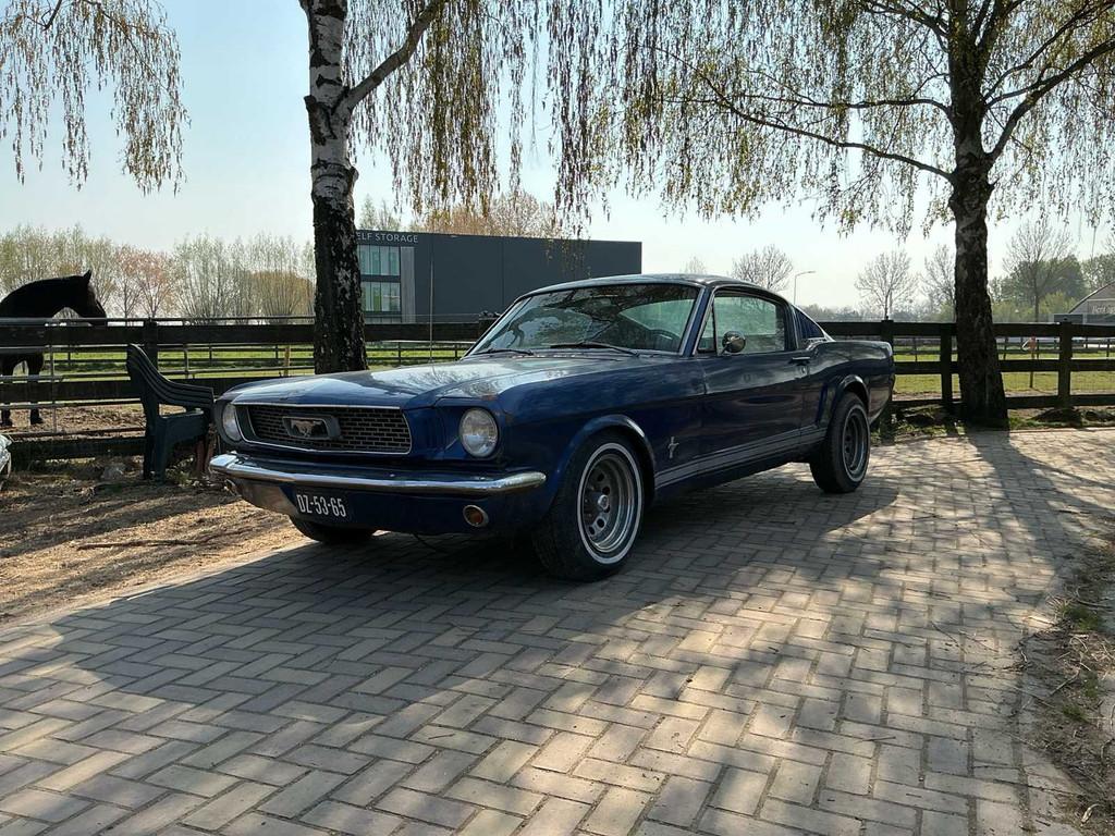 Voiture particulière Ford MUSTANG Fastback de 1966, Autos, Ford, Achat, Entreprise, Cabriolet, Boîte manuelle
