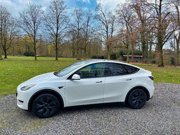 Tesla Model Y (Longe Range RWD), Auto's, Tesla, Particulier, Model Y, 360° camera, ABS, Achteruitrijcamera, Adaptieve lichten