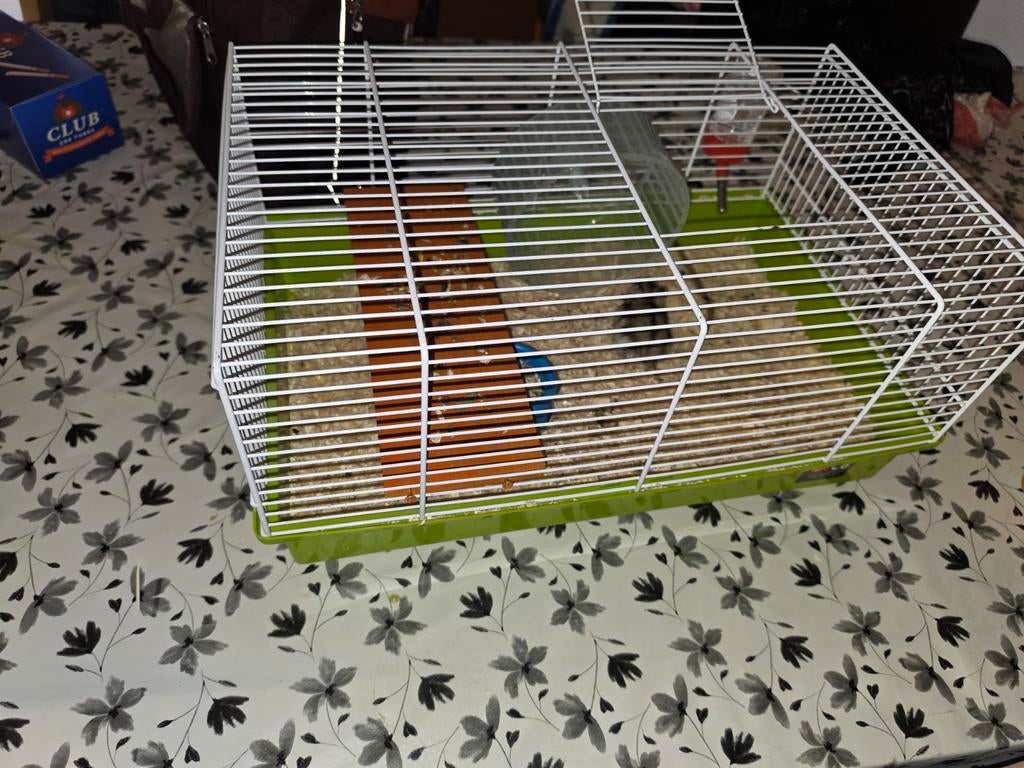 Russische dwerghamster, Ophalen, Kooi, Hamster