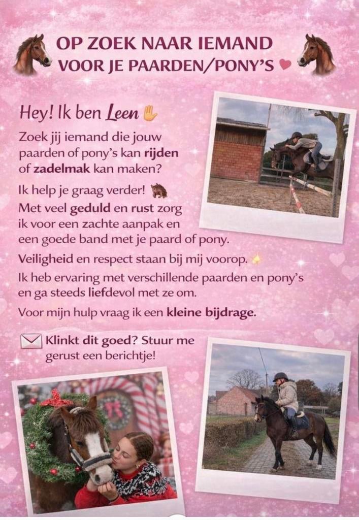 Paarden doorrijden / zadelmak maken, Enlèvement ou Envoi, Comme neuf