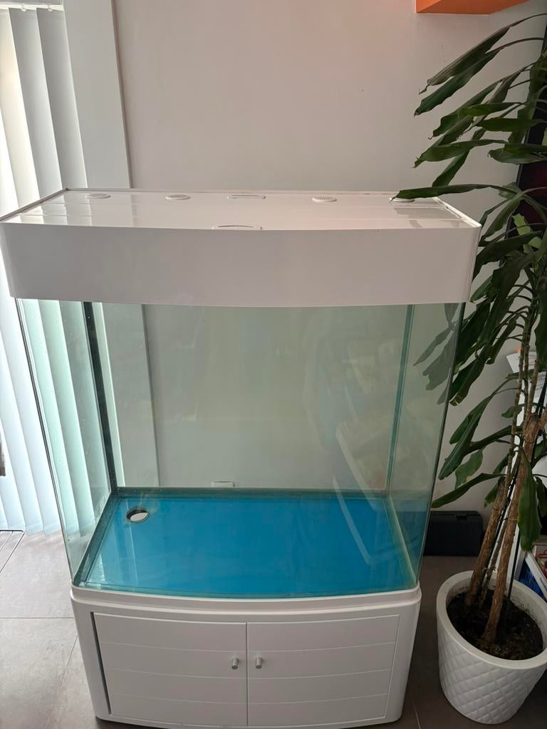 Aquarium avec filtre à puisard ouvert (+  -350 L.), Enlèvement, Utilisé, Aquarium vide