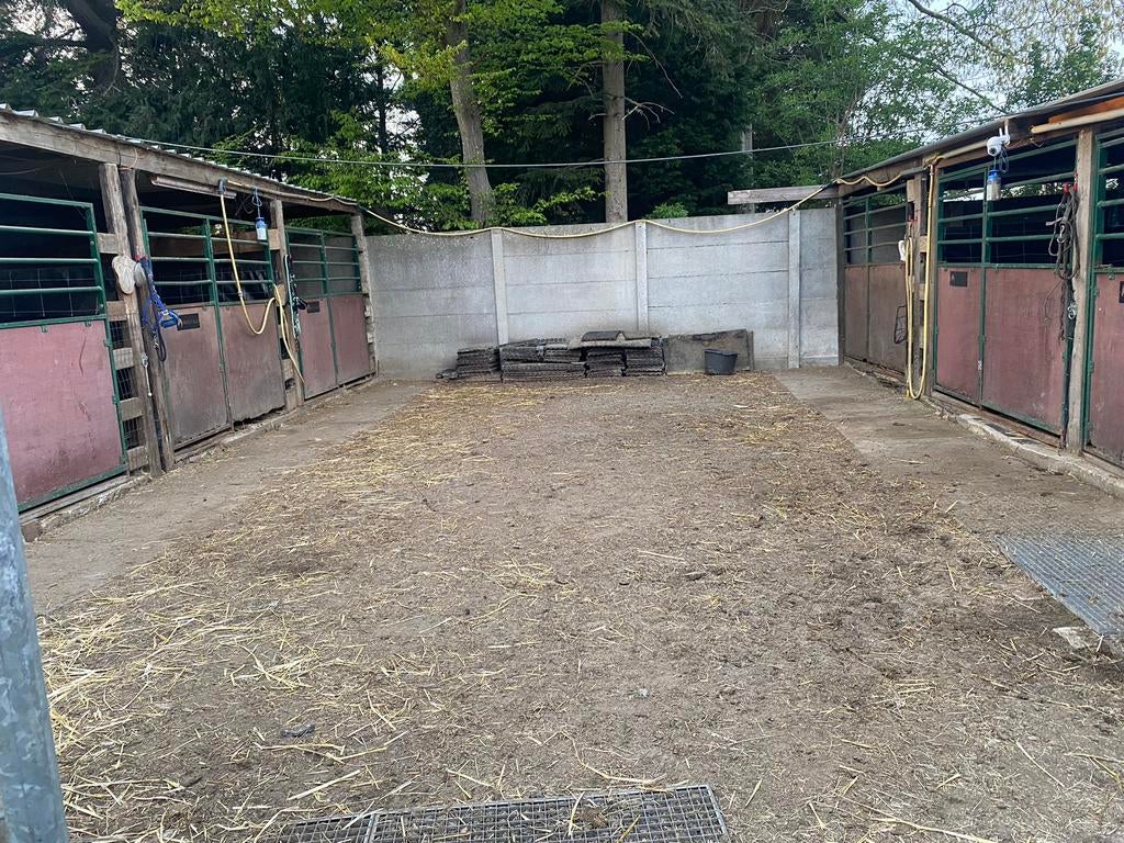 Stal te huur, Animaux & Accessoires, Box & Pâturages, Pâturage