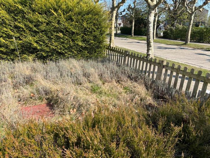 4000L rode mazout (stookolie) te koop – zelf op te pompen, Bricolage & Construction, Chauffage & Radiateurs, Neuf, Enlèvement