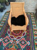 Mooie vintage rotan fauteuil - zeer goede staat, Huis en Inrichting, Ophalen