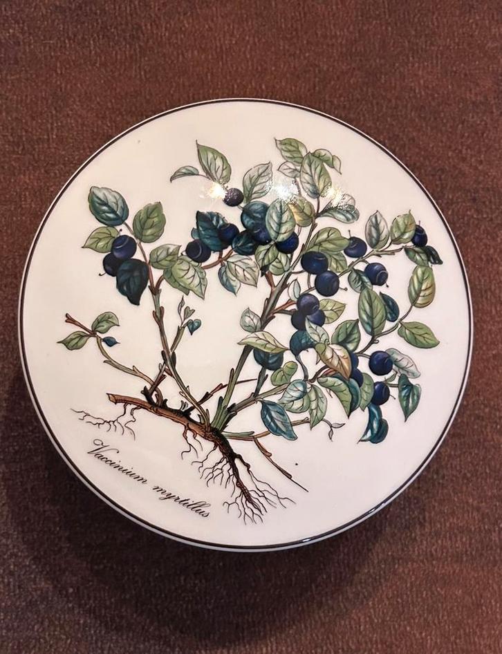 Bocal en porcelaine Villeroy & Boch Botanica avec couvercle, Maison & Meubles, Maison & Meubles | Autre, Comme neuf, Enlèvement