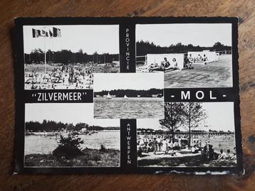 Postkaart Mol Zilvermeer Provincie Antwerpen beschikbaar voor biedingen