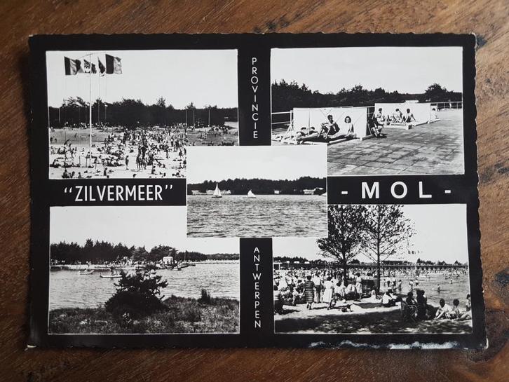 Postkaart Mol Zilvermeer Provincie Antwerpen, Verzamelen, Postkaarten | België, Ongelopen, Antwerpen, 1940 tot 1960, Ophalen of Verzenden
