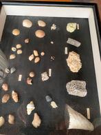 Collection de minéraux et de coquillages, Enlèvement