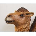 Bactrian Camel Resting – Kameel beeld Lengte 230 cm, Verzamelen, Nieuw, Ophalen