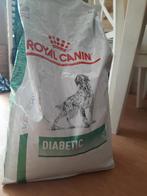 Croquettes Royal Canin Diabetic 12KG, Animaux & Accessoires, Nourriture pour Animaux, Enlèvement